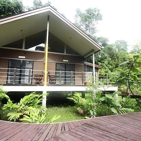 Mulu National Park Hotel Bagian luar foto