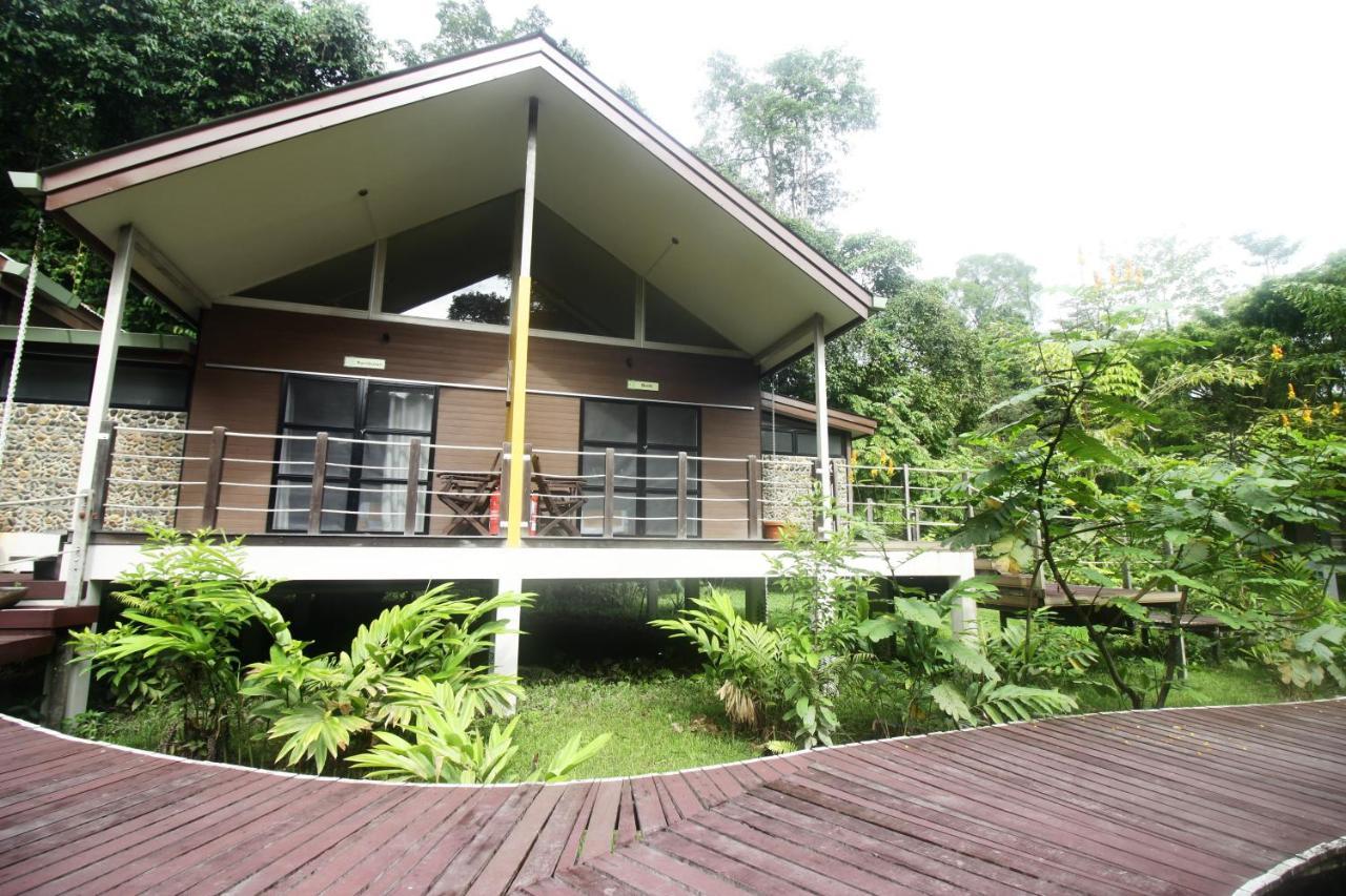 Mulu National Park Hotel Bagian luar foto