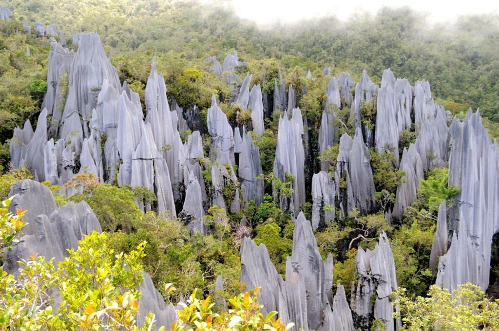 Mulu National Park Hotel Bagian luar foto